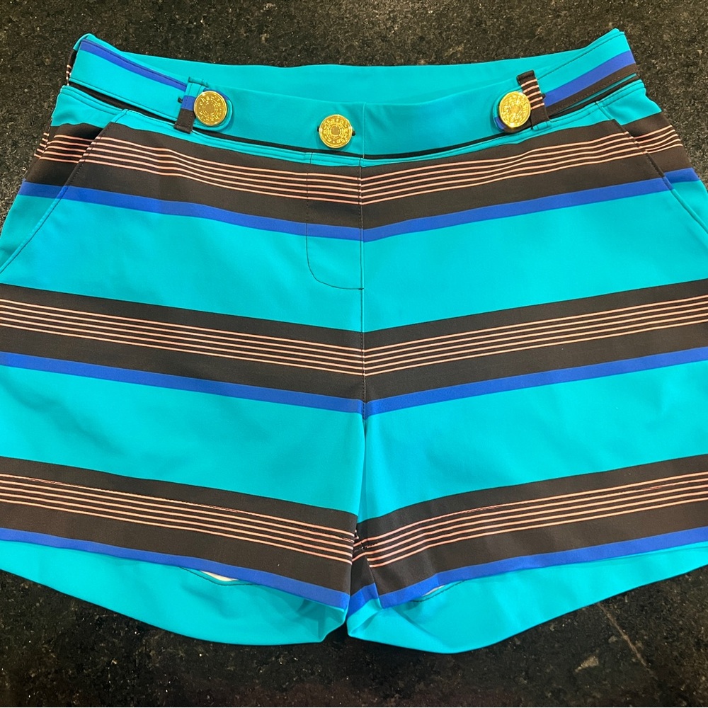 Charlie by MZ Matthew Zink Men Resort Swim Short Strip Teal Color - Size S